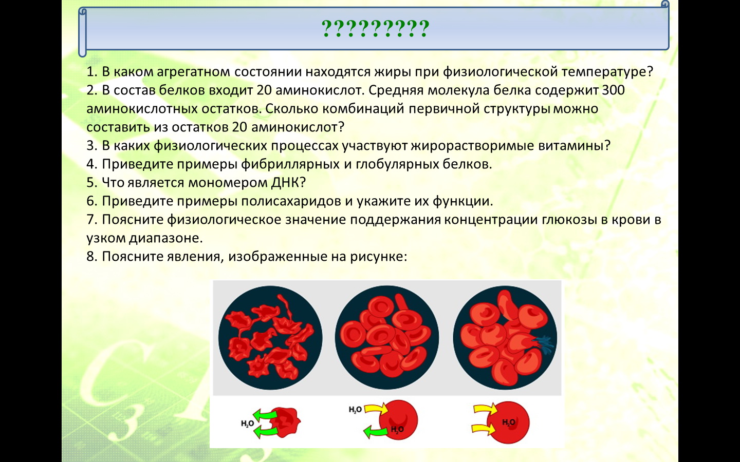 Вопросы, вопросы, вопросы...